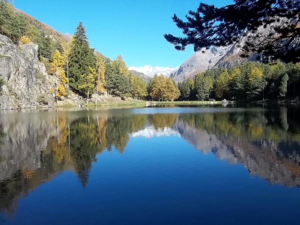 Albergo Valentino Bionaz Εξωτερικό φωτογραφία